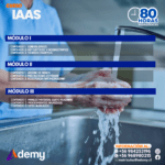 IAAS 80 HRS - Imagen 2