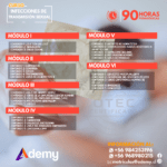 INFECCIONES DE TRANSMISIÓN SEXUAL (ITS) (90 HRS) - Imagen 2