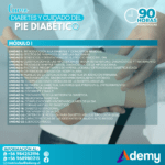 DIABETES Y CUIDADO DEL PIE DIABÉTICO (90 HRS) - Imagen 2