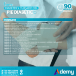 DIABETES Y CUIDADO DEL PIE DIABÉTICO (90 HRS) - Imagen 4
