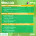 FARMACOLOGÍA EN TRATAMIENTO DE ASMA (60 HRS) - Imagen 2