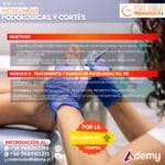 DIPLOMADO PATOLOGÍAS PODOLÓGICAS Y CORTES (120 HRS) - Imagen 4