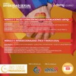 GÉNERO Y DIVERSIDAD SEXUAL EN SALUD (80 HRS) - Imagen 3
