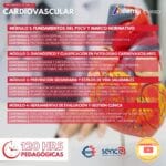 Curso programa de salud cardiovascular