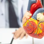 salud cardiovascular